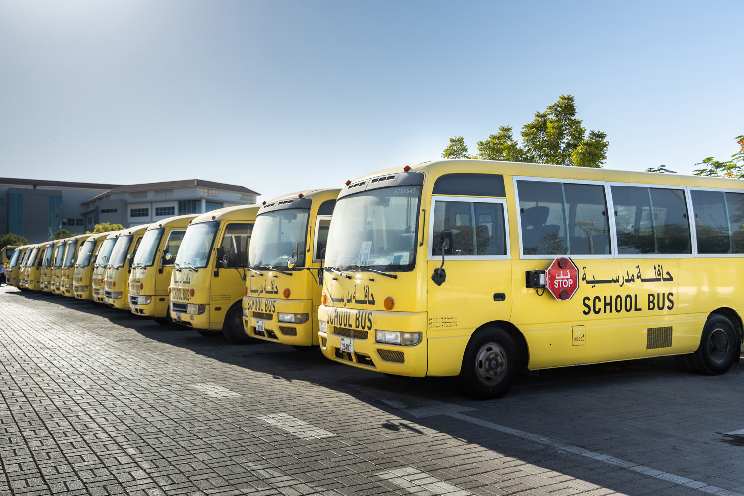 School buses ready for managed daily routes